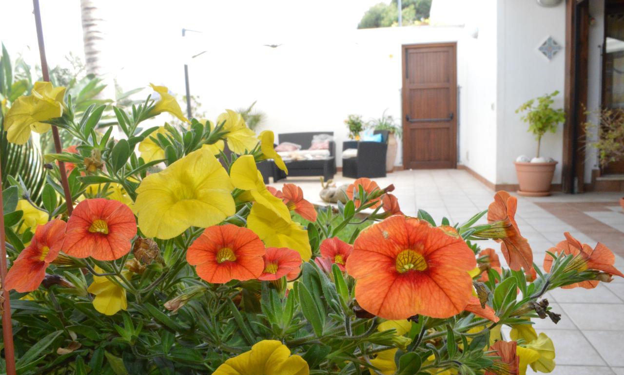 Kimos Bed & Breakfast San Vito Lo Capo Dış mekan fotoğraf